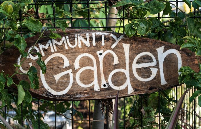 A wooden community garden sign surrounded by greenery