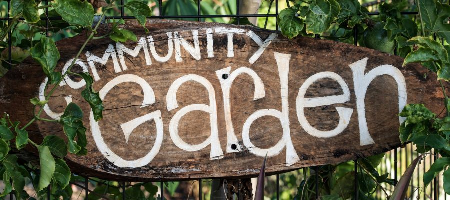 A wooden community garden sign surrounded by greenery