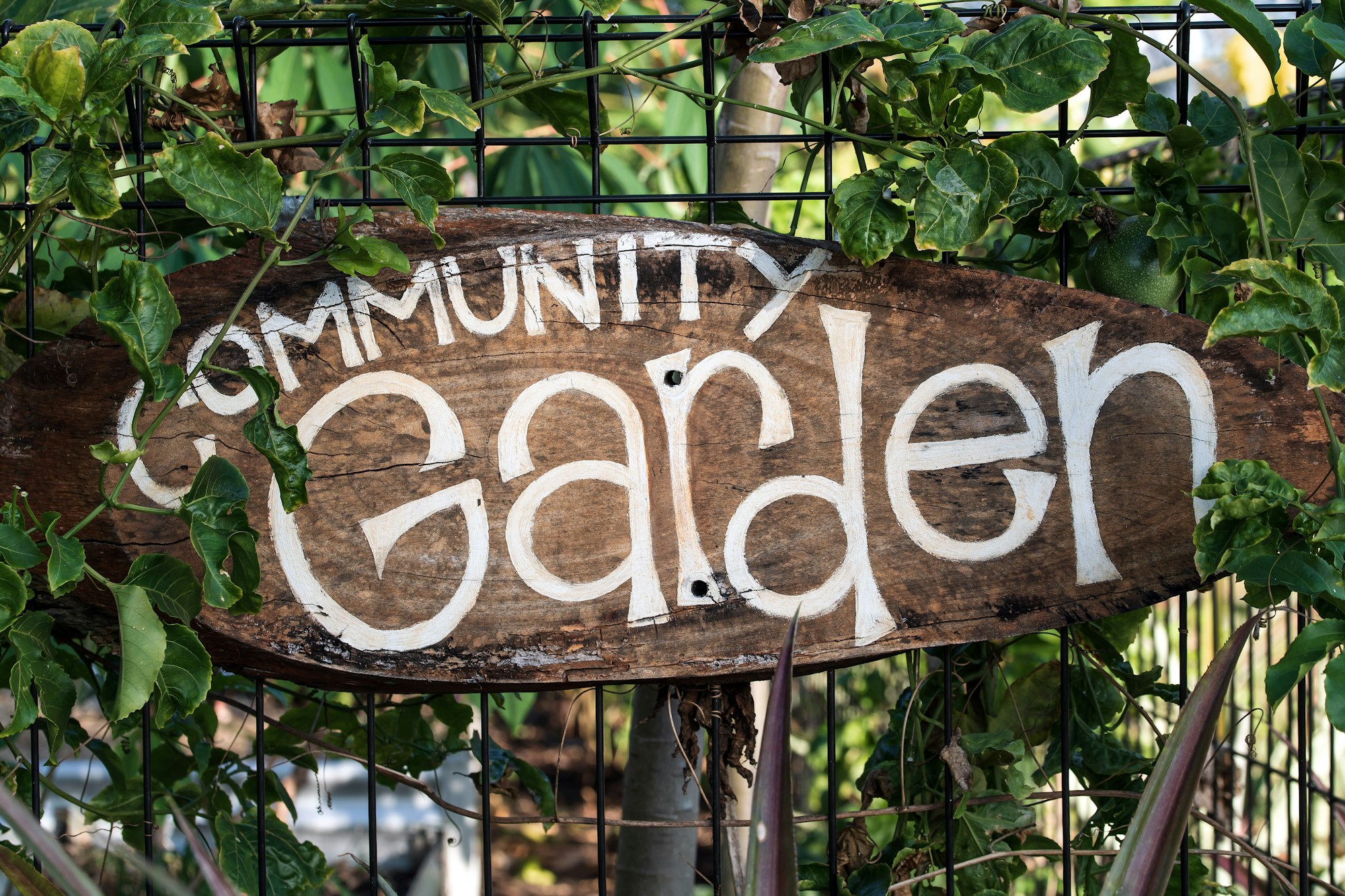 A wooden community garden sign surrounded by greenery