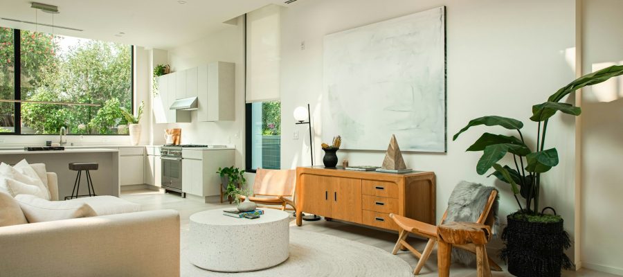 A bright living room with seating, plants and natural light
